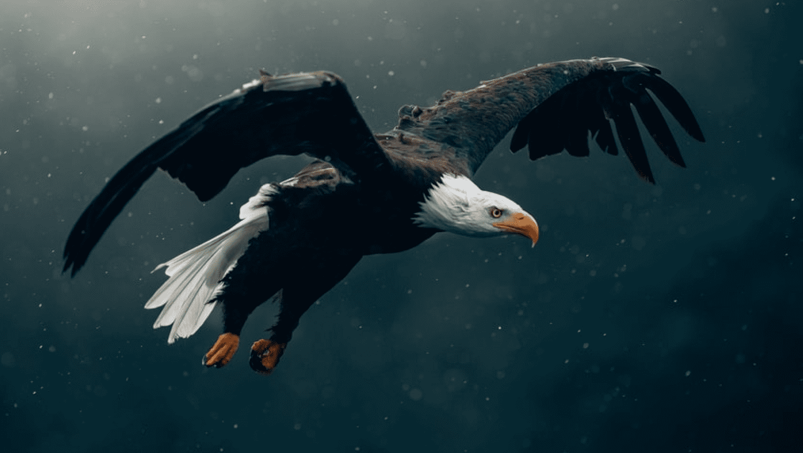 Balancing aesthetics and usability in interfaces